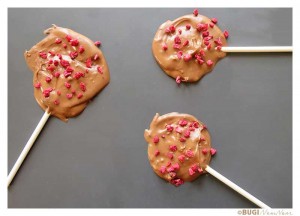 lækre chokoladeslikkepinde